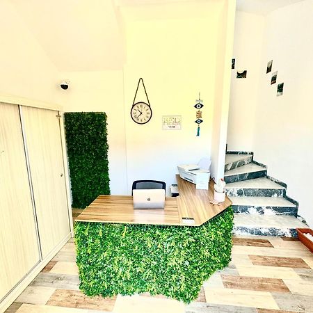 Bed And Beach Ypsos Exterior foto